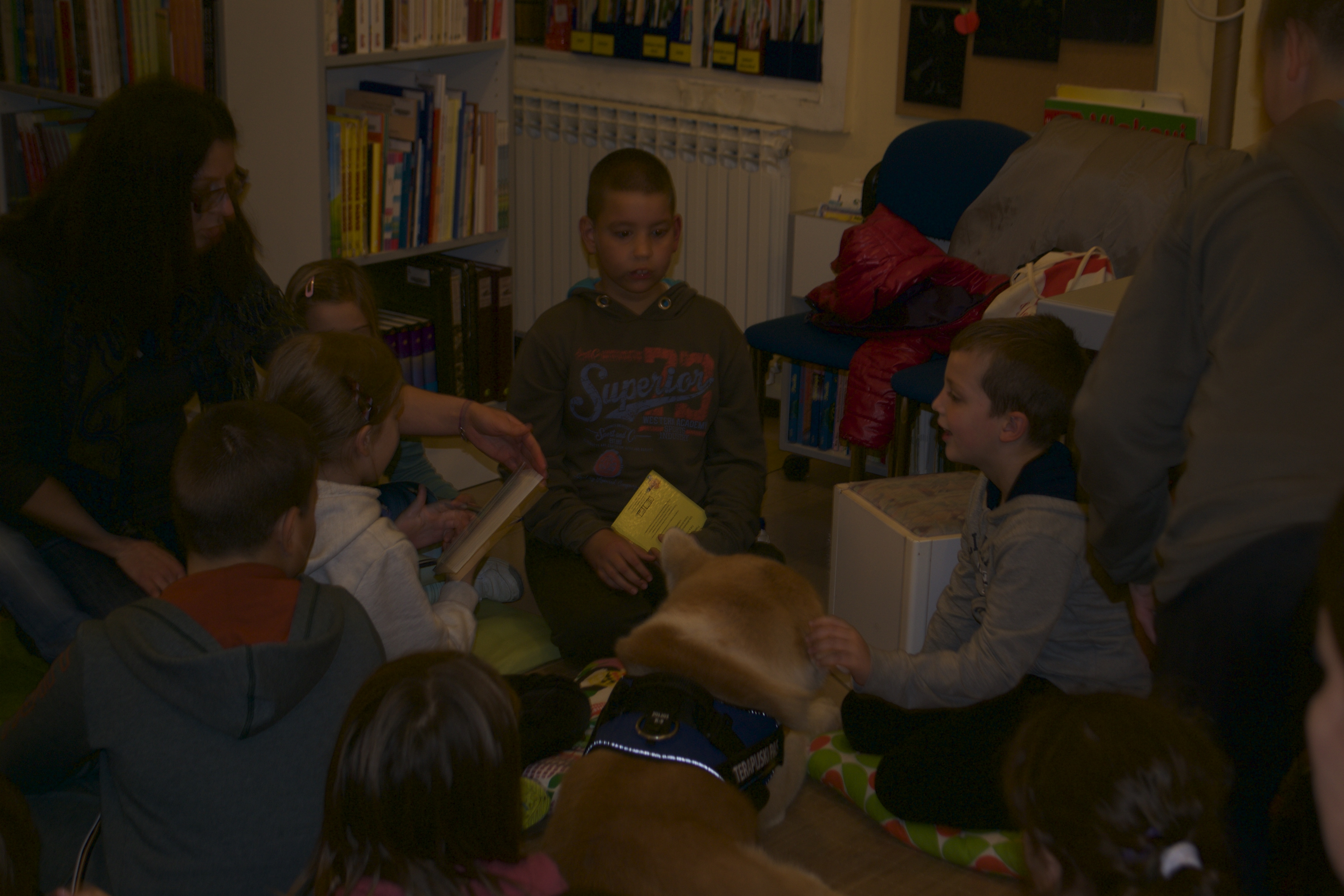 Therapy_dog_Haku_Akita Inu_5